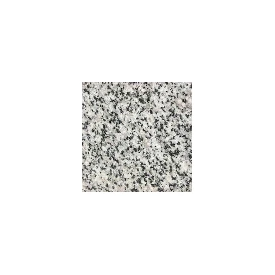 Dalmata 